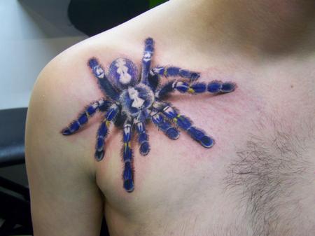 Tattoos - Spider Tattoos - 92178